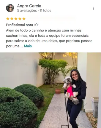 Avaliação de tutor no Google