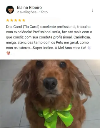 Avaliação de tutor no Google