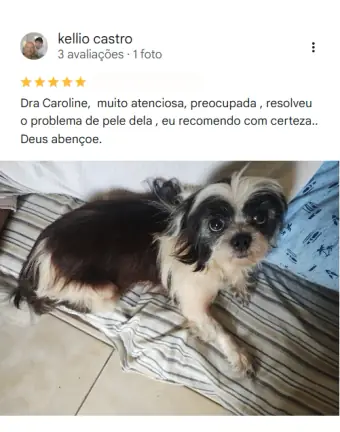 Avaliação de tutor no Google