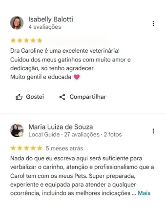 Avaliação de tutor no Google